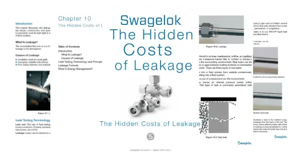 Hidden Costs of Leakage