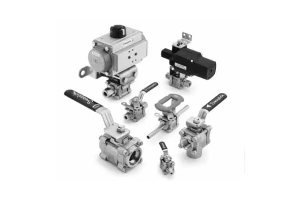 Ball and Quarter-Turn Plug Valves