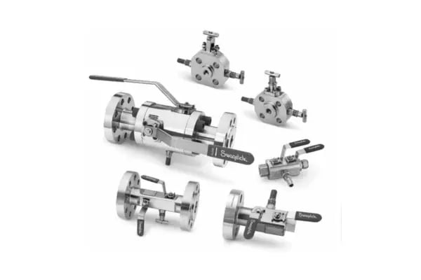 Process Interface Valves (DBB)