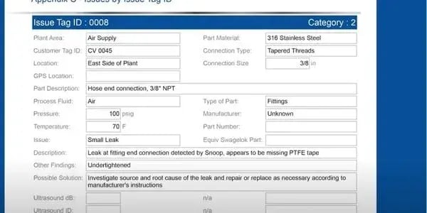 leak detection report screenshot