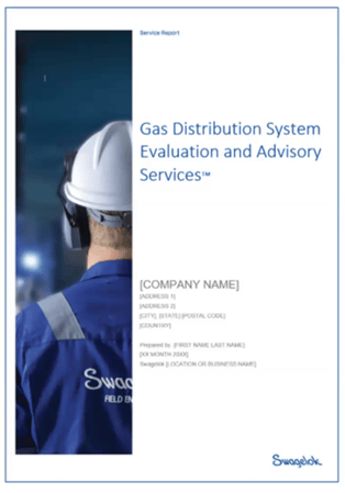 Gas Distribution System Evaluation